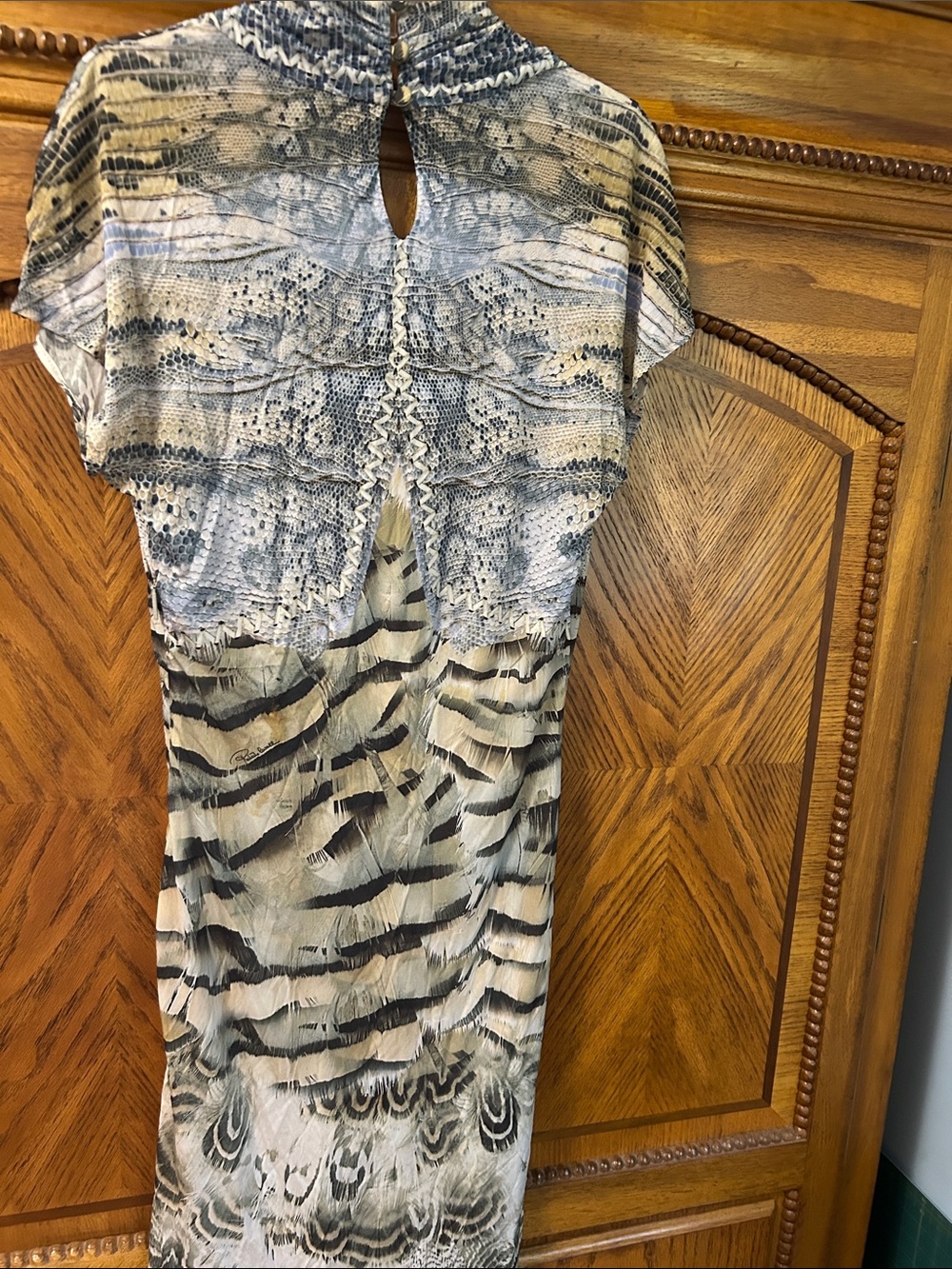 Roberto Cavalli Neutral Snake-Print Dress with Cream and Gray Accents - Picture 7 of 8